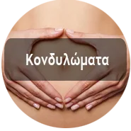 Kondylomata New